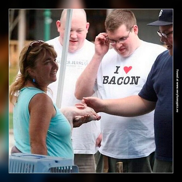 funny-pictures-the-love-of-bacon