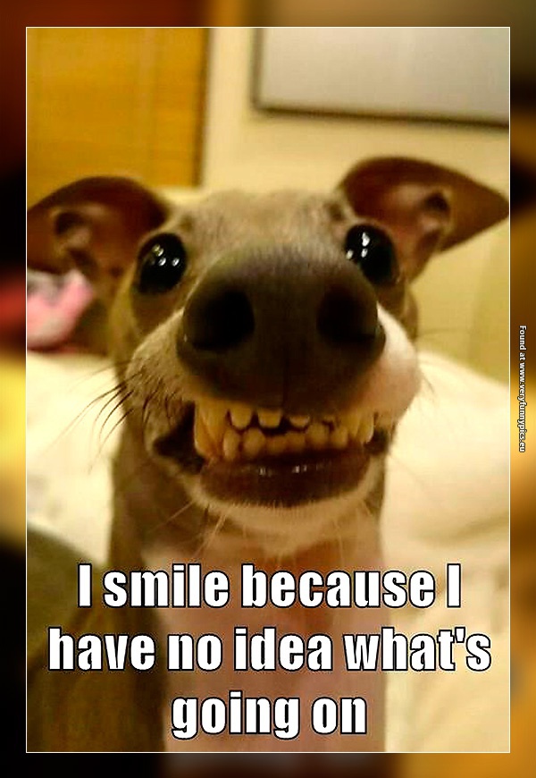 If you don't know what's going on - Smile! - Very Funny Pics