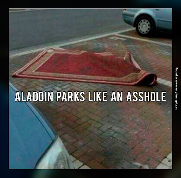 funny-pictures-aladdin-parks