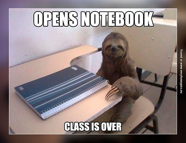 funny-pictures-sloth-in-class