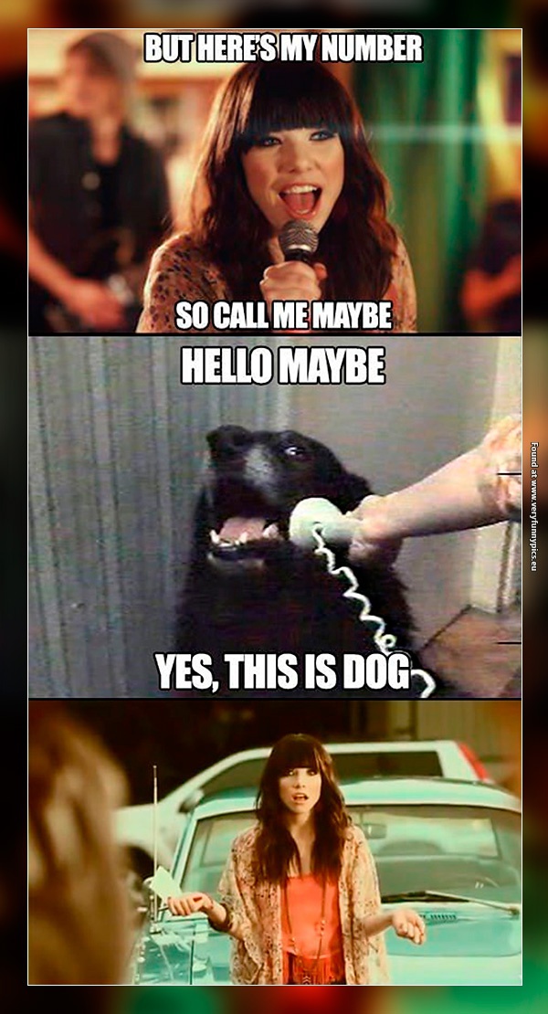 funny-pictures-this-is-dog-Carly-Rae-Jepsen