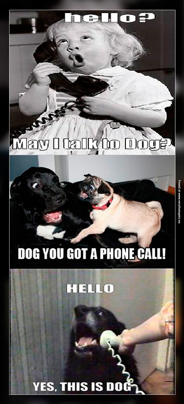 funny-pictures-this-is-dog-girl-calls