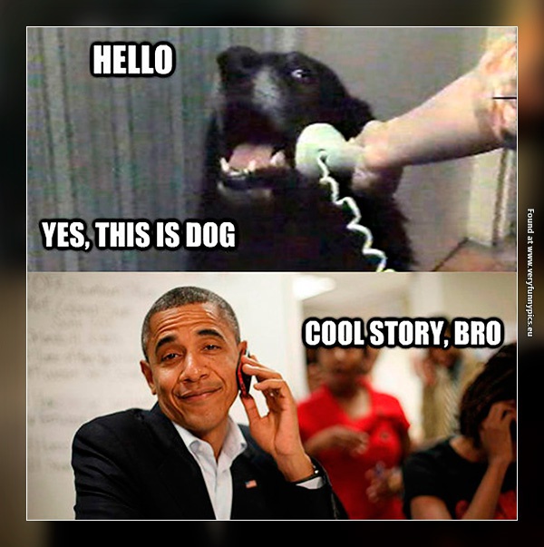 funny-pictures-this-is-dog-obama