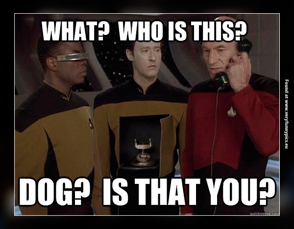 funny-pictures-this-is-dog-star-trek