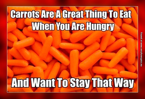 funny-pictures-carrot-diet-food