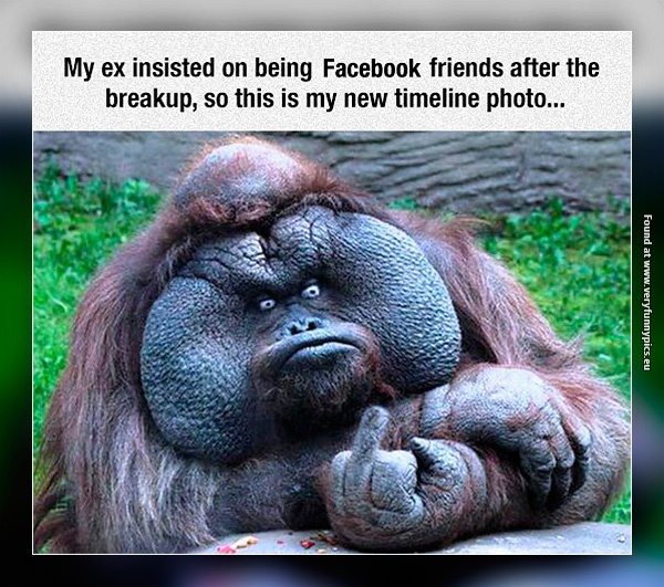 funny-pictures-friends-after-breakup