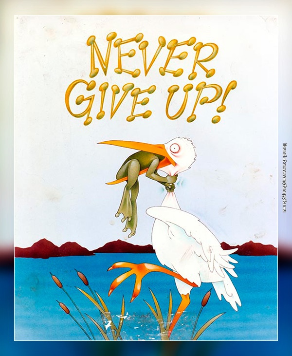 funny-pictures-never-give-up