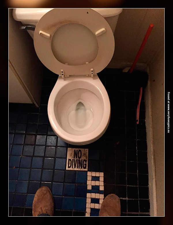 funny-pictures-no-diving-in-toilet