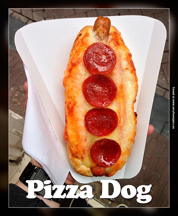 funny-pictures-pizza-dog-is-better-than-a-hot-dog