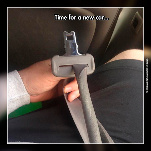 funny-pictures-seat-belt-problem