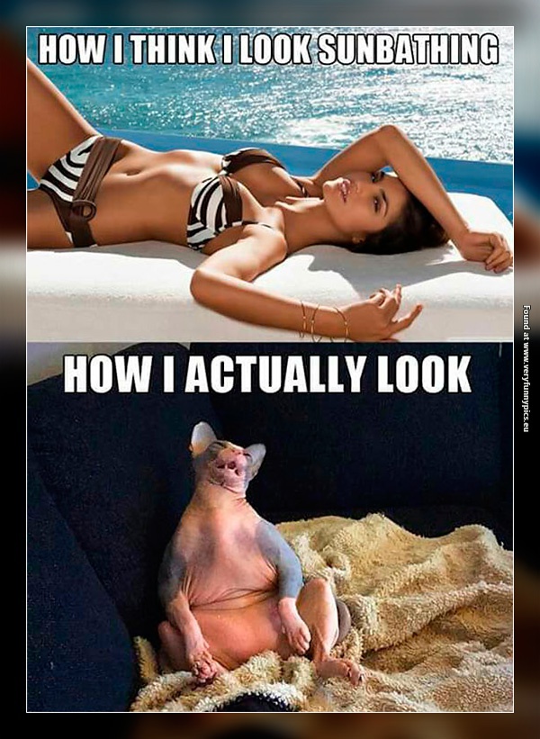 funny-pictures-sunbathing-expectations-vs-reality