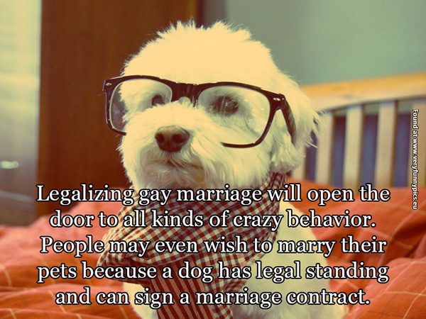 funny pictures why gay marriage is not right 03