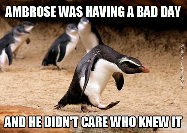 funny-pictures-bad-day-penguin