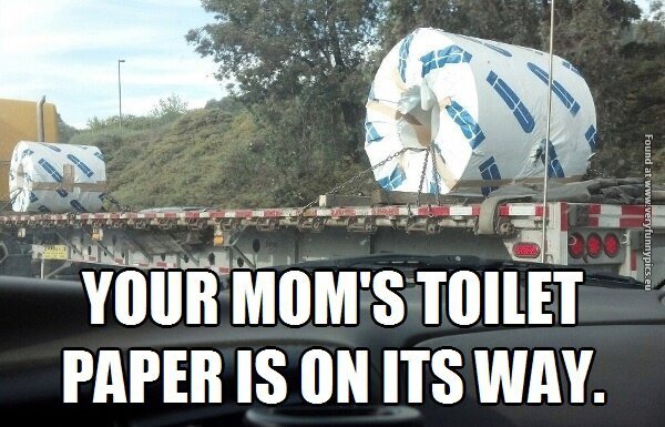funny pictures big toilet paper roll