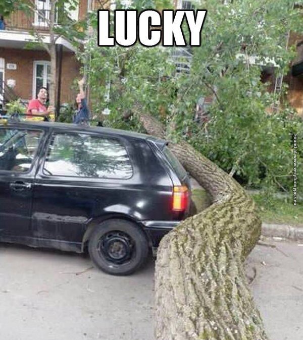 funny pictures definition of luck