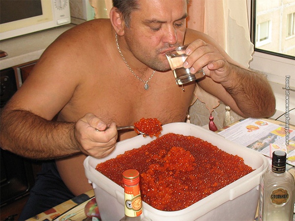 funny pictures russians knows how to party 22