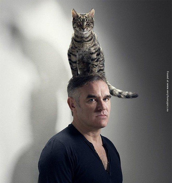 funny picturse of men holding cats 11