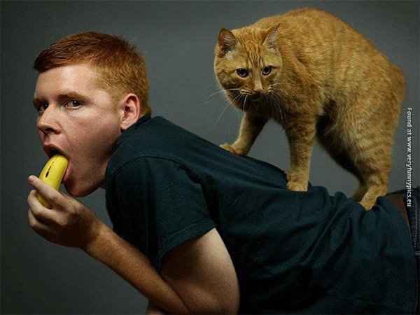 funny picturse of men holding cats 15