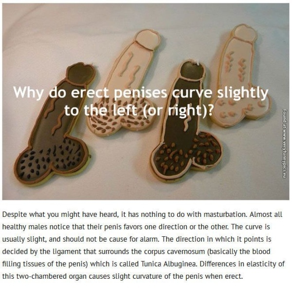 funny picturse scientific answers that you want to know 09