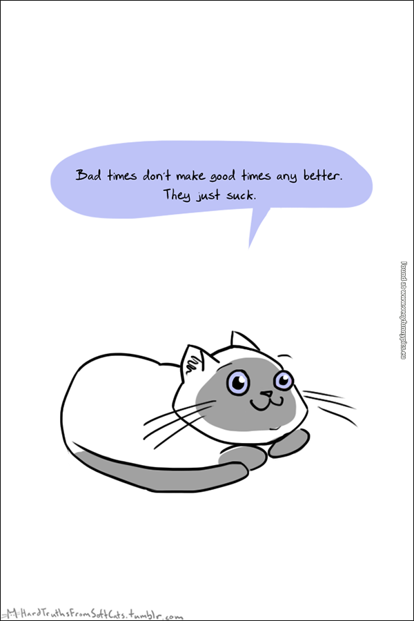 cats telling you truths you dont want to hear 09