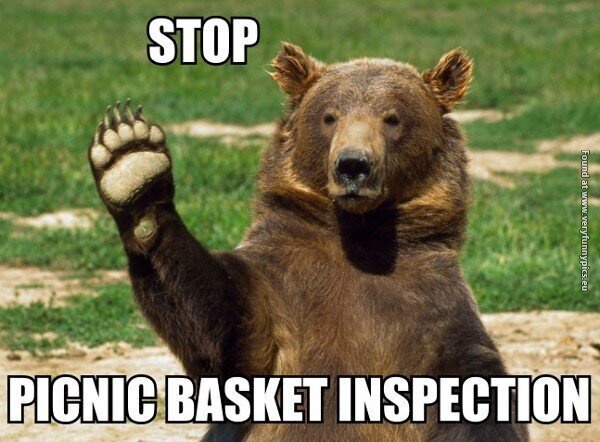 funny pictures bear trying to get food