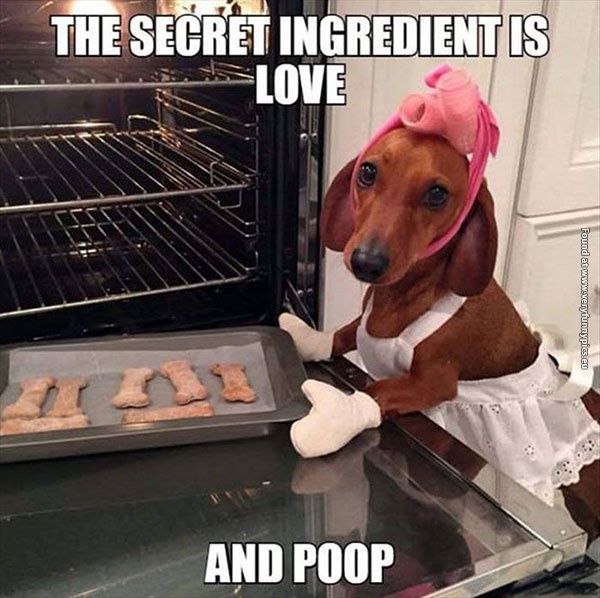 funny-pictures-dogs-are-the-worst-chefs
