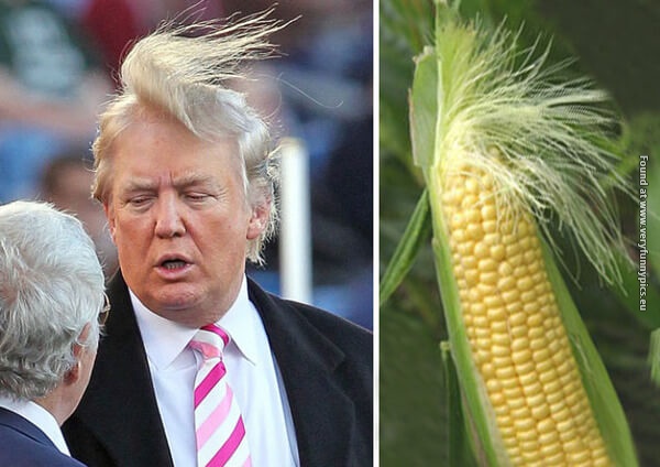 funny pictures donald trump lookalikes 01
