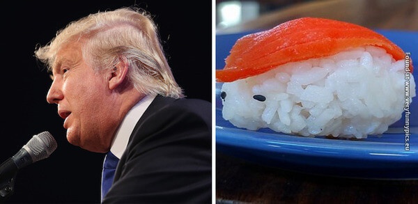 funny pictures donald trump lookalikes 14