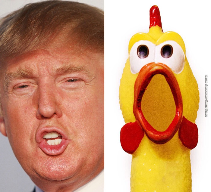 funny pictures donald trump lookalikes 15