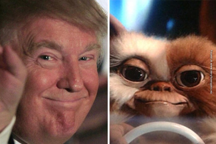funny pictures donald trump lookalikes 17