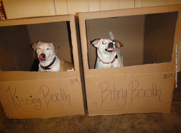 funny pictures kissing booth or biting booth