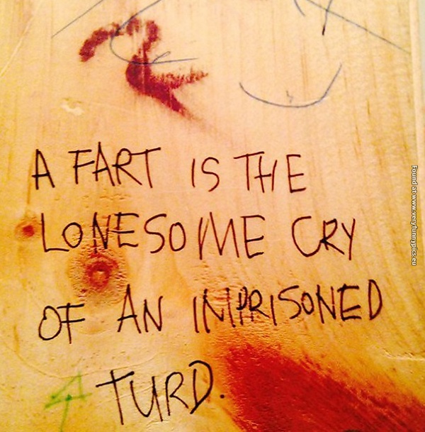 funny pictures bathroom poetry 14
