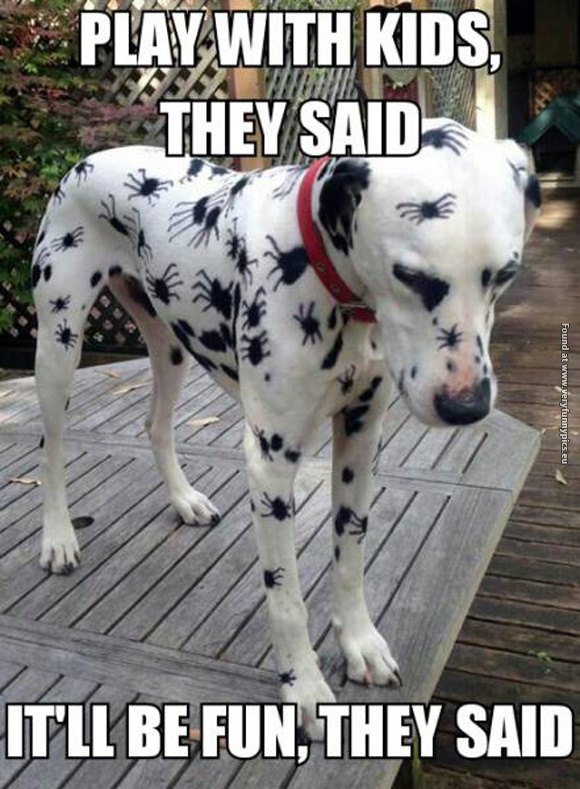 funny pictures dog with spider painting