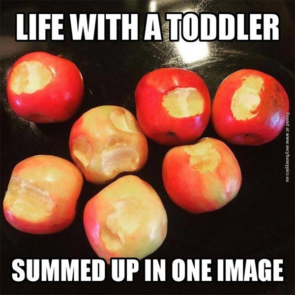 funny-pictures-life-with-a-toddler