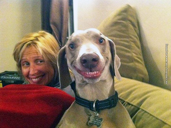 funny pictures pets and their owners 14