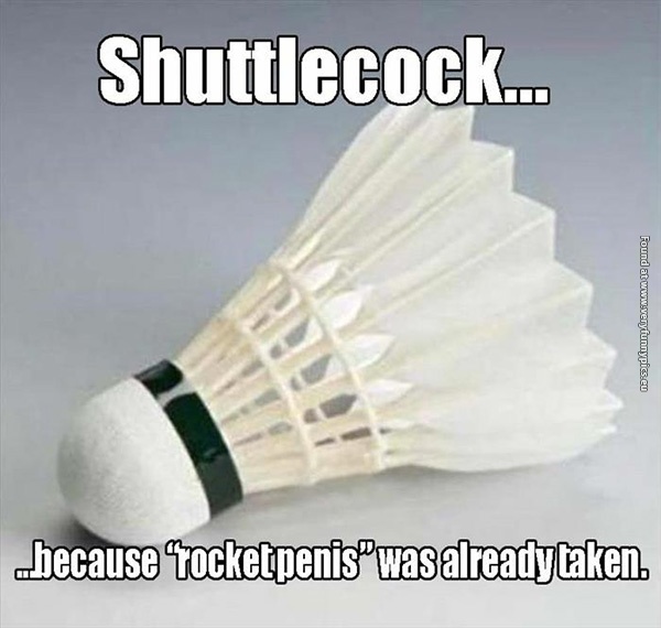 funny-pictures-shuttlecock