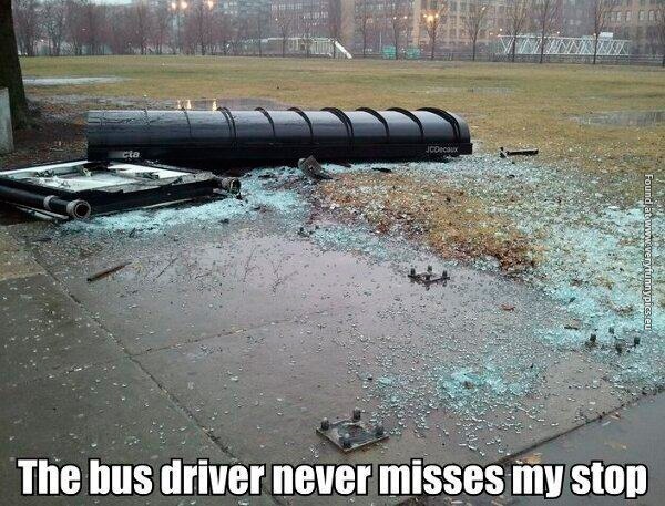 funny-pictures-the-bus-driver-is-great