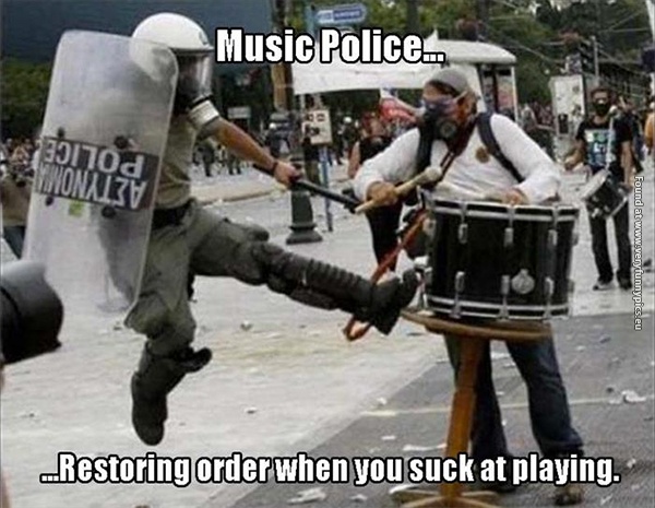 funny-pictures-we-all-need-music-police