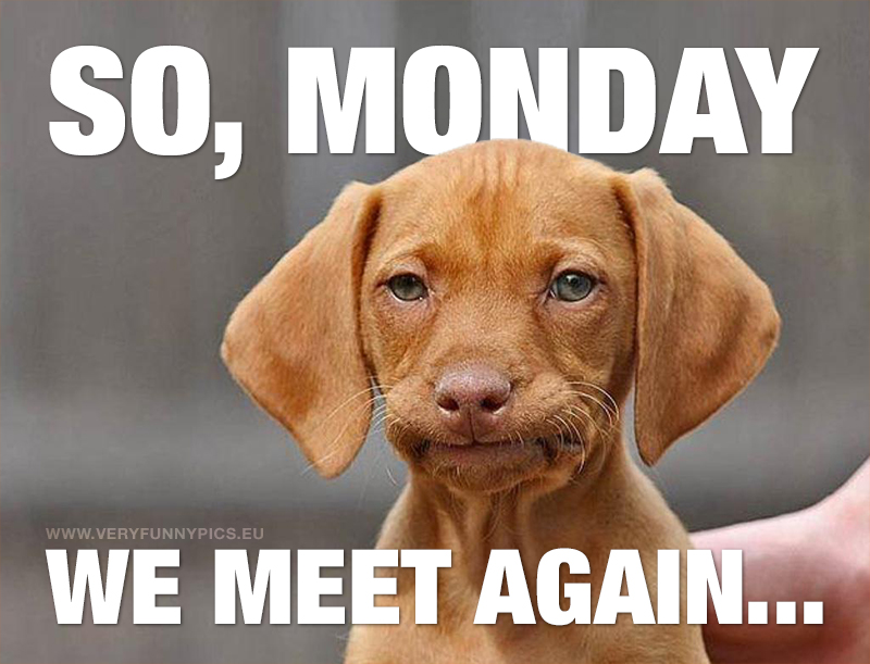 That monday feeling... | Very Funny Pics