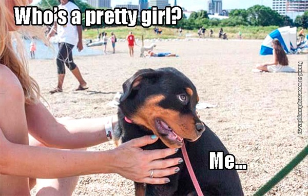 funny-pictures-pretty-girl-dog