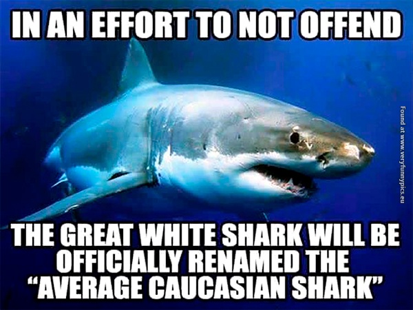 funny-pictures-great-white-shark-is-racist