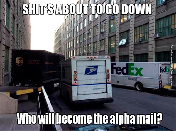 funny-pictures-alpha-mail