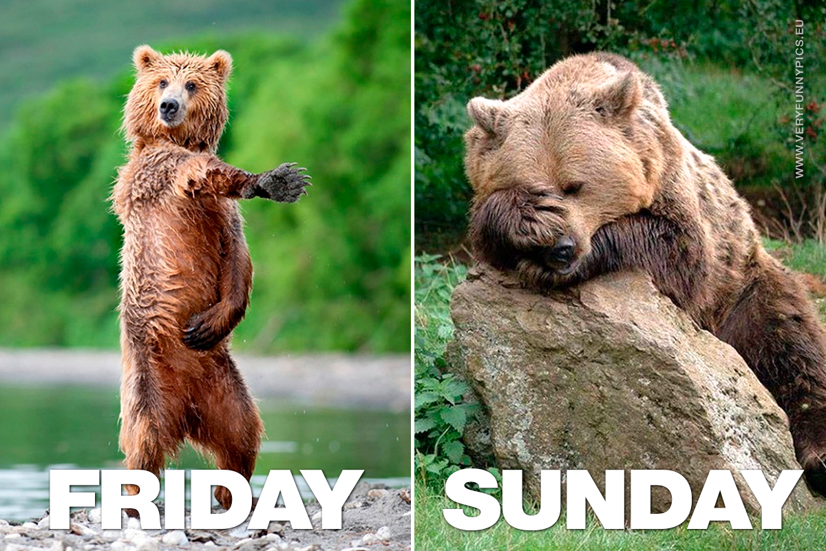funny-pictures-friday-vs-sunday