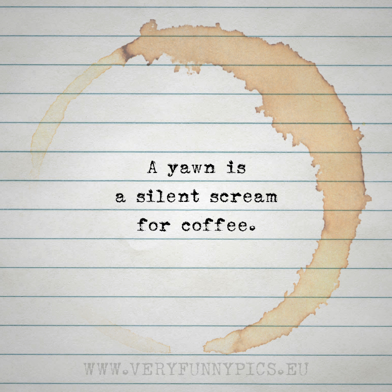 funny-pictures-a-yawn-is-a-silent-scream-for-coffee