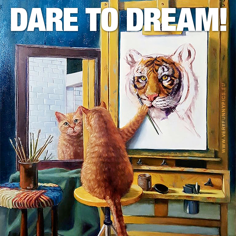 Cat sees tiger in mirror - Dare to dream!