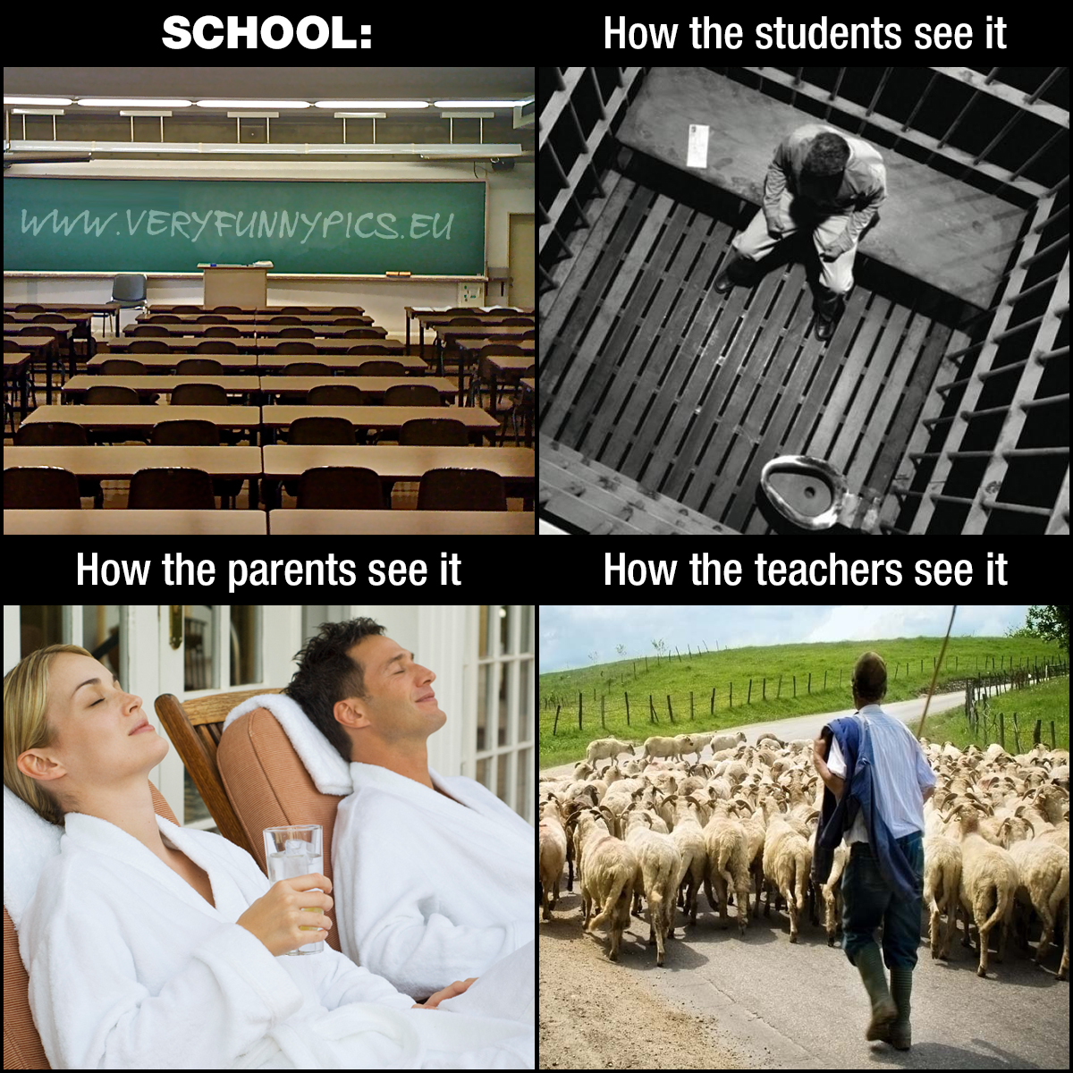 funny-pictures-school-seen-out-of-different-perspectives