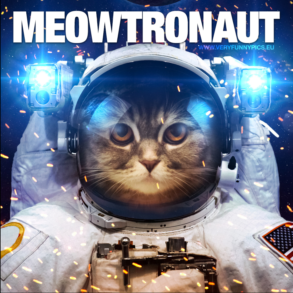 Cat in a spacesuit - Meowstronaut