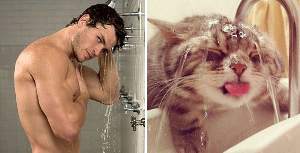 30 awesome pictures of male models and their lookalikes in the cat world!