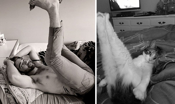 funny pictures male models and cat lookalikes 02