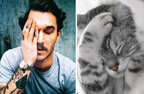 funny pictures male models and cat lookalikes 03